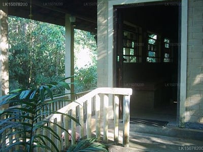 God Paradise Nature Resort