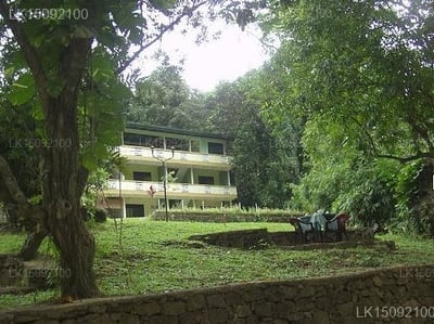 Elnara Resort