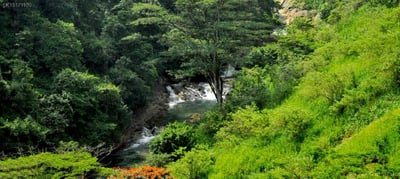 The Tea Cottage Resort
