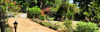 Lake View Bungalow Yala