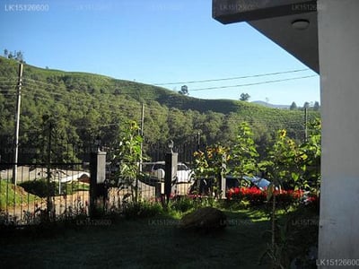 Ingle Wood Lodge