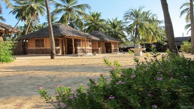 Funky Far Nest Tropical Resort