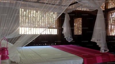 Funky Far Nest Tropical Resort