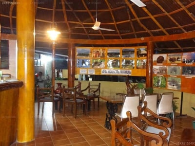 Udawalawa Safari Village Hotel