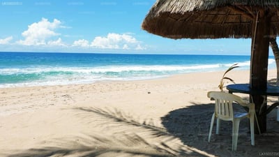 Oasey Beach Hotel