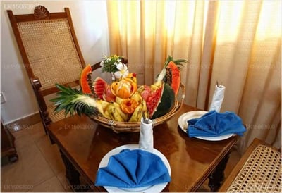 Hotel Sudu Araliya