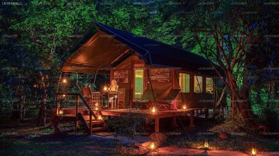 Kulu Safari - Udawalawe