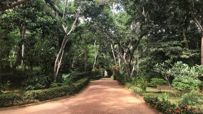 Sri Mathie Villa