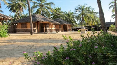 Funky Far Nest Tropical Resort