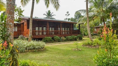 Purple Coot Ayurveda Retreat