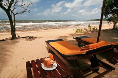Sign of Life Resort