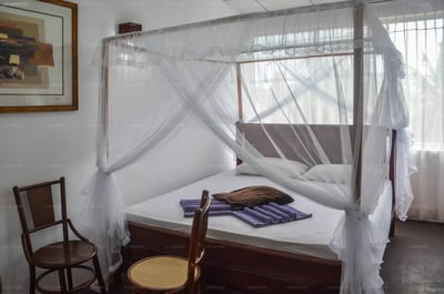 Blue Horizon Beach Hotel