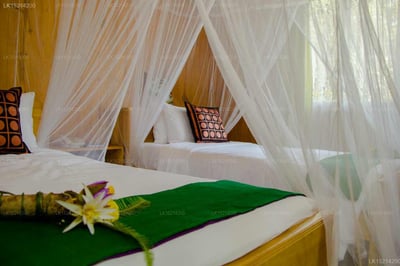 Purple Coot Ayurveda Retreat