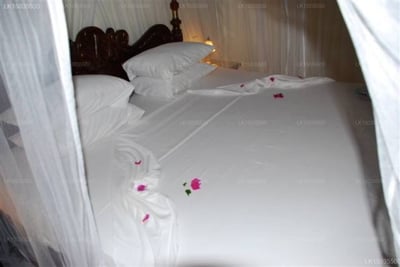 Palm Garden Village Hotel