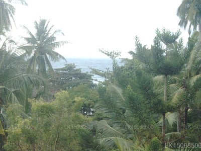 Black Beauty Guesthouse