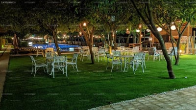 Blue Whale Resort