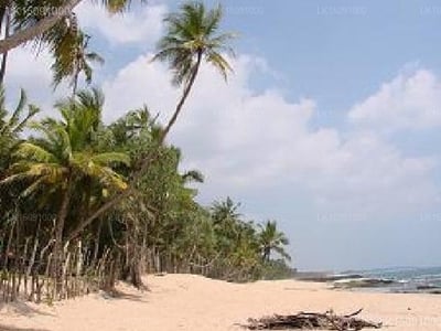 Blue Horizon Beach Hotel