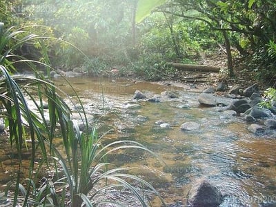 God Paradise Nature Resort