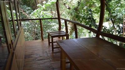 Villa Kumbuk Tree House