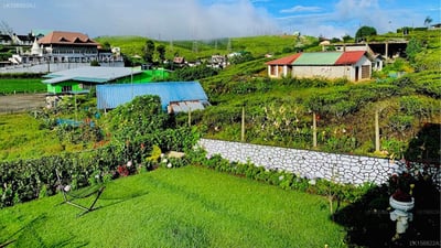 The Tea Garden Bungalow