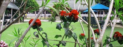 Bandarawela Hotel