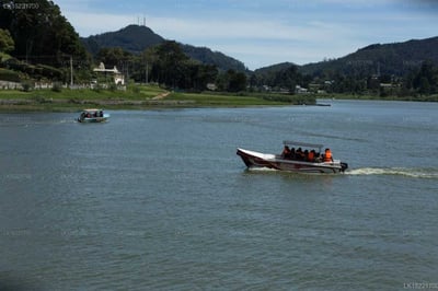 Camellia Lake Resort