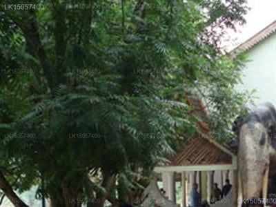 Pinnalanda Restaurant