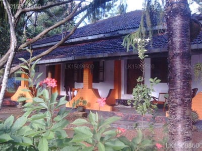 Black Beauty Guesthouse