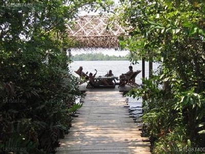 Lilly Village Boutique Hotel