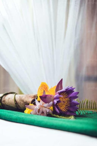 Purple Coot Ayurveda Retreat