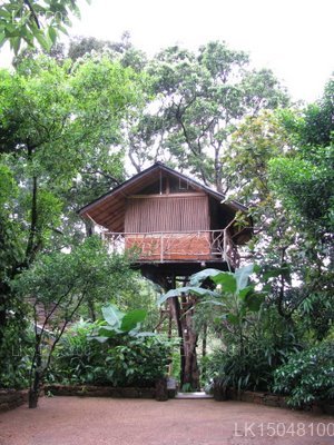 Chaarya Resort & Spa by Chandrika