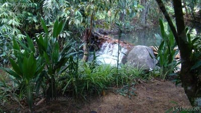 Wijaya Holiday Resort