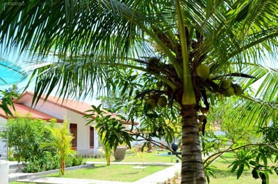 Kabalana Boutique Hotel