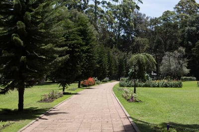 Camellia Lake Resort