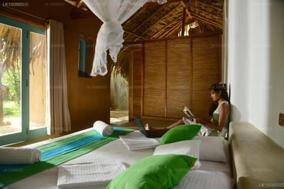 Back of beyond - Wellness Retreat
