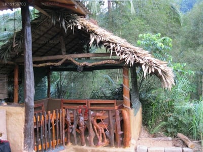 Sinharaja Seyana Eco Lodge