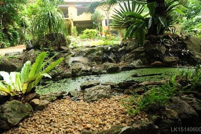 Creeks Villa