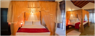 Camellia Lake Resort