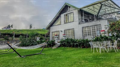 The Tea Garden Bungalow