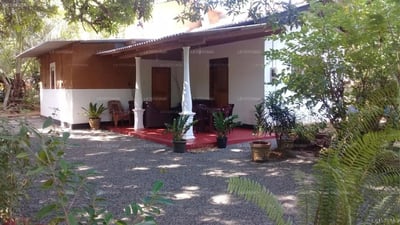 Tusker's Paradise Safari Villa