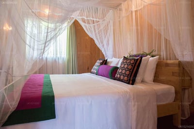 Purple Coot Ayurveda Retreat