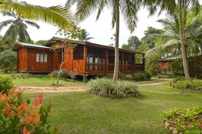 Purple Coot Ayurveda Retreat