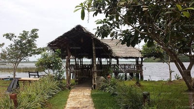 Purple Coot Ayurveda Retreat