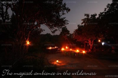 Sri Lanka Tented Safari Camping Yala