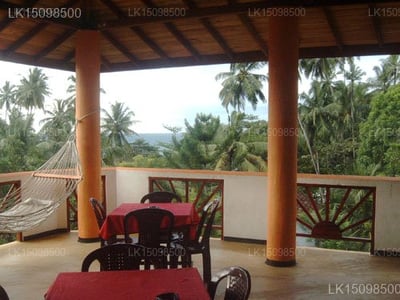 Black Beauty Guesthouse