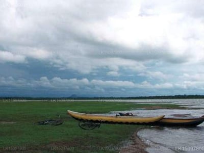 Tisawewa Holiday Bungalow