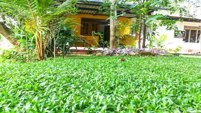 Sigiri Neo Homestay
