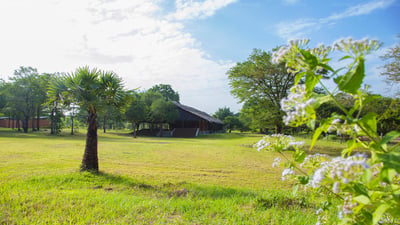 Governors River Lodge Wilpattu