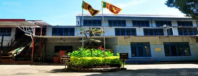The Tea Cottage Resort