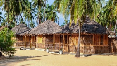Funky Far Nest Tropical Resort